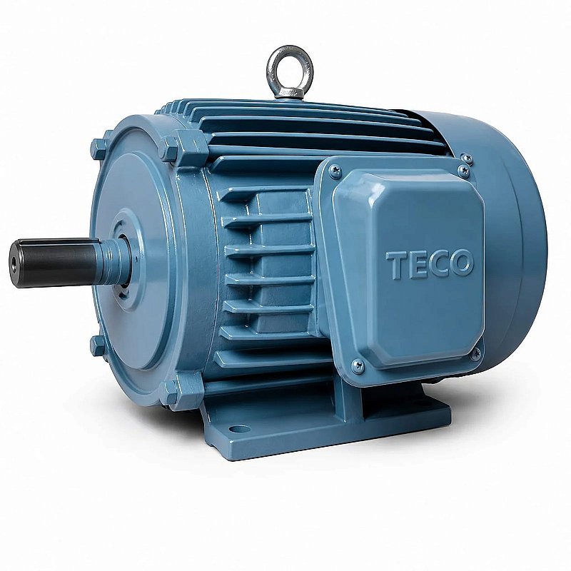 AGRICULTURE MOTOR TECO MODEL THREE PHESE