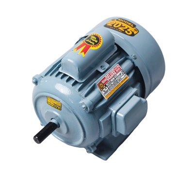 Single phase induction motor
