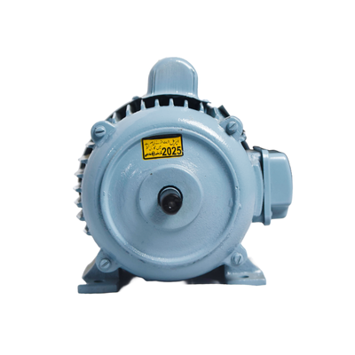 Single phase induction motor