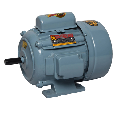 Single phase induction motor