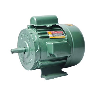 Induction motor mt_1