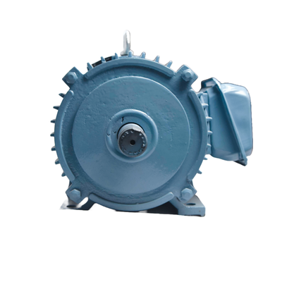 Three phase induction motor