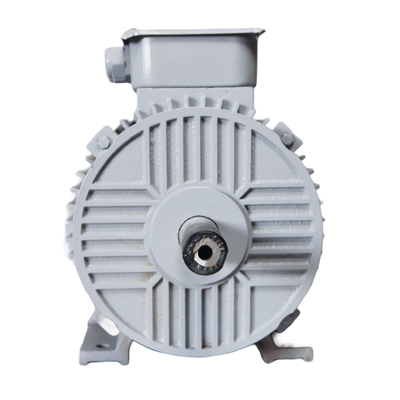 Three phase induction motor id_20