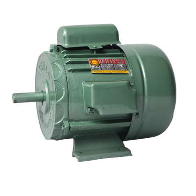 Induction motor mt_1