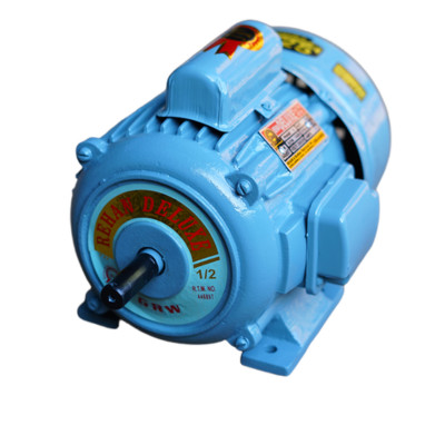 Single phase induction motor